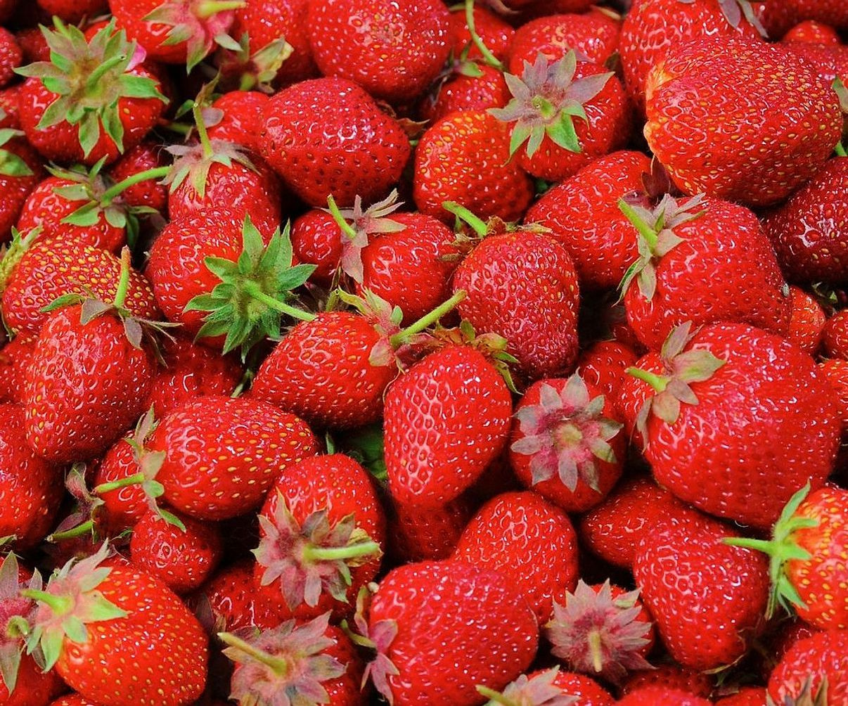 Mostrador rebosante de frutas frescas y bayas de temporada